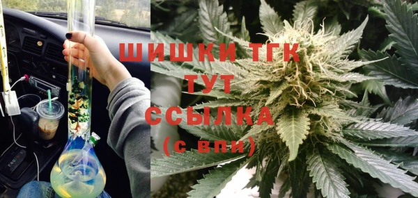 гидропоника Осинники