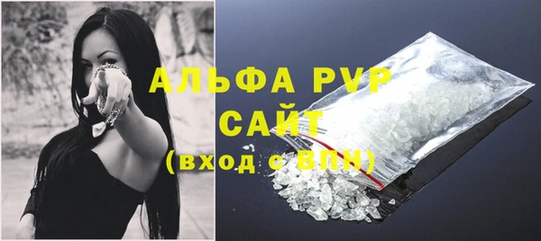 сатива Ахтубинск
