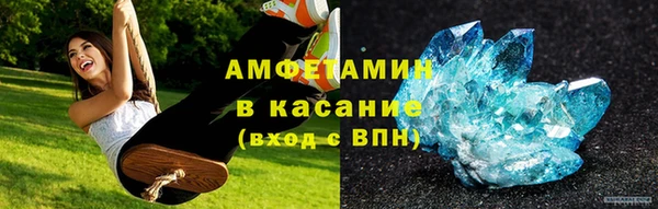 шишки Аша