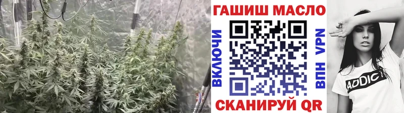 ТГК концентрат  Мышкин 